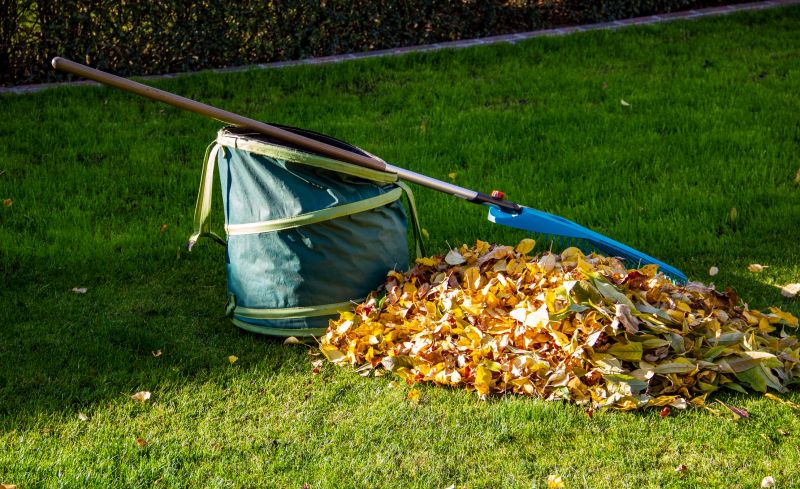 Leaf Collection in Bins