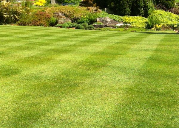 Cost of Commercial Grass Cutting in Ballwin