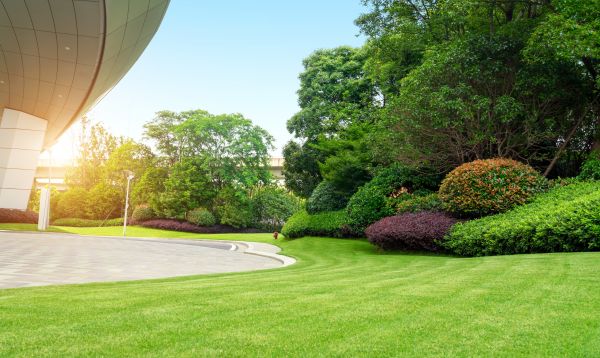 Cost of Commercial Lawn Mowing in Ballwin