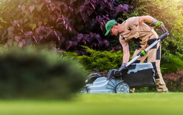 Yard Care Service in Ballwin