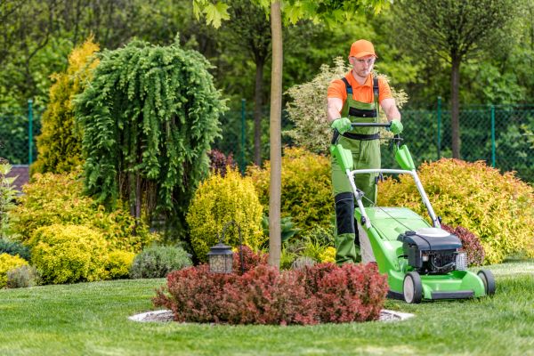 Yard Service in Ballwin