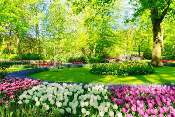 Cost of Spring Lawn Care in Ballwin