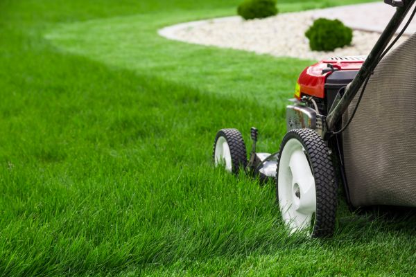 Lawn Service in Ballwin