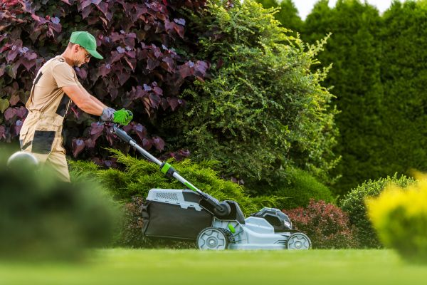 Lawn Management in Ballwin