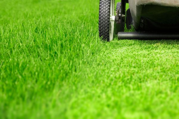 Weekly Lawn Care in Ballwin