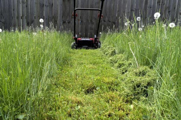 Cost of High Grass Mowing in Ballwin