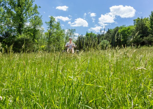 Cost of Long Grass Mowing in Ballwin