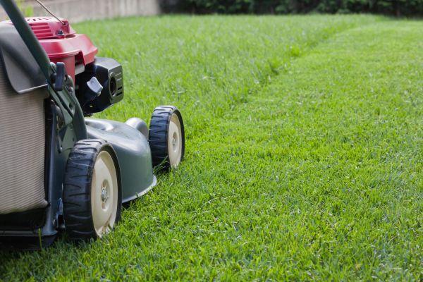 Summer Lawn Care in Ballwin
