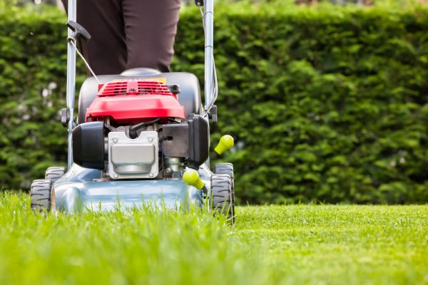 Cost of Grass Trimming Service in Ballwin