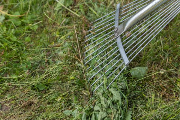 Cost of Thatch Raking in Ballwin