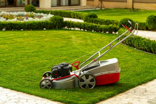 Cost of Business Grass Cutting in Ballwin