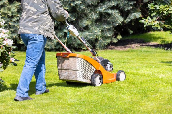 Cost of Springtime Lawn Care in Ballwin