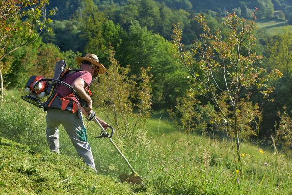 Cost of Slope Mowing in Ballwin