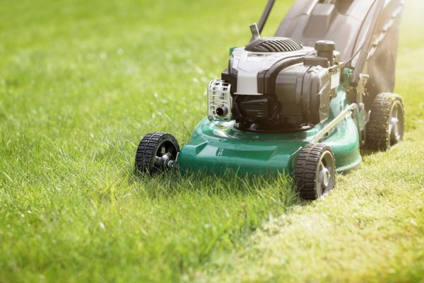 Cost of Spring Grass Trimming in Ballwin