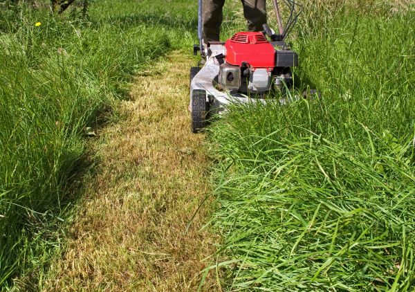 Leaf Mowing in Ballwin