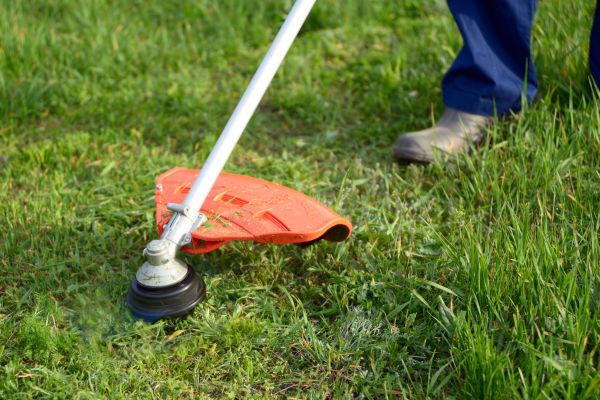 Cost of Lawn Weed Whacking in Ballwin